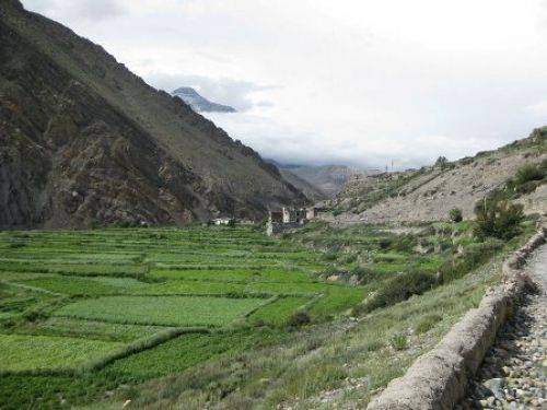 TREKKING IN MUSTANG 2010